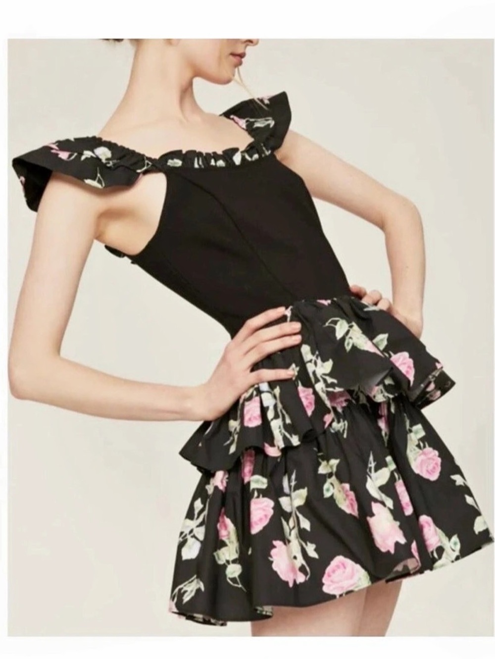 LoveShackFancy Sanam Mini Dress – Painted Mime Floral – Size 8